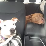 Olympia and Penny Brisson - @olympia_and_penny - Instagram