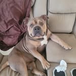Penny Broadhurst - @broadhurst.penny - Instagram