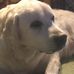 Penelope Sarant Brophy - Facebook