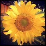 Penny Bruner Ollis - @pennybrunerollis - Instagram