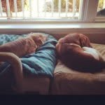 buddylovespenny - @buddylovespenny - Instagram