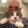 Penny Budd - @pennybudd - TikTok