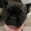 penny_.buddys - @penny_.buddys - TikTok