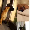 penny - @penny___buddy - TikTok
