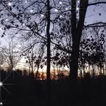Penny Burdette - @burdettepenny - Instagram