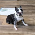 Penny Burdette - @penny.burdette - Instagram
