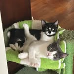 Penny Burdick - @burdickpenny - Instagram