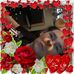 Penny Burge - Facebook