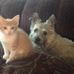 Penny Burrows - Facebook