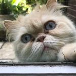 @pennyburrows2021 - Instagram