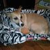 Penny Busch - Facebook