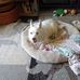 Penny Schoenberg Busch - Facebook
