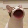 ᴘᴇɴɴʏ - @pennyybee - TikTok
