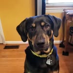 Penny Byrd - @penny.byrd.792 - Instagram