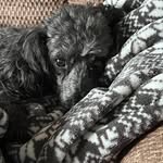 Penny Byrd - @p.byrd6262 - Instagram