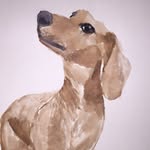 Penny Byrd - @_penstagram_ - Instagram