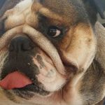 penny&byron&mini - @pennylicious17 - Instagram
