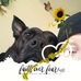 Penny Cagle - Facebook