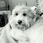 Penny - @penny_cagle - Instagram