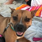 PennyLane - @penny_lane_cagle - Instagram