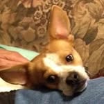 Patricia Cain - @penny_cain - Instagram