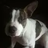 penelope - @pennycain8 - TikTok