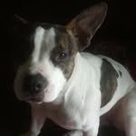 Penny Cain - @pennylcain - Instagram