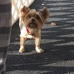 Penny Cain - @pennycainfisher - Instagram