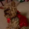 penny - @pennycain7 - TikTok