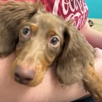 Penny Camp - Facebook