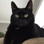 Penny Cantrell - @pacantrell - Instagram