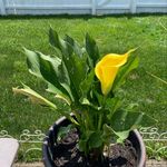 Penny Carr - @mpcarr48 - Instagram