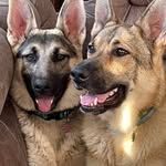 Penny Carroll - @penny.carroll.908 - Instagram