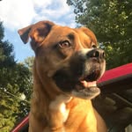 Penny Lane Carson - @pennylanecarson - Instagram
