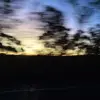 Penny - @penny_carson5 - TikTok