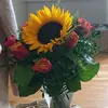 user30115296006562 - @penny.carson - TikTok