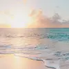 pennycave - @pennycave - TikTok