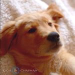 Penny Chapman - @bailey_daily - Instagram