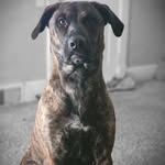 Penny Chapman - @penny.chapman.37 - Instagram