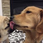 Charlie And Penny - @penny__charles - Instagram