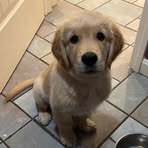 Penny Charles - Facebook