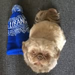 Penny Chavez - @penny_the_shitz - Instagram
