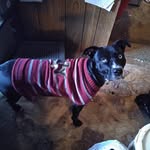 Penny M Dumpprope - @pennymchenoweth - Instagram