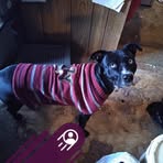 Penny M Dumpprope - Facebook