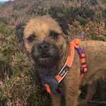Penny Taylor - @penny_chops - Instagram