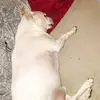 pennychoate196 - @pennychoate196 - TikTok