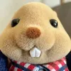 Pennychoice - @user1925624354195 - TikTok