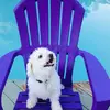 Clancy&Penny4ever - @clancyandpenny - TikTok