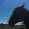 @ - @penny_coates1 - TikTok