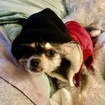 Penny Coates - @partyanimalpenny - Instagram
